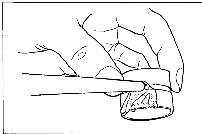Hand applying engine oil to HLA friction surfaces.