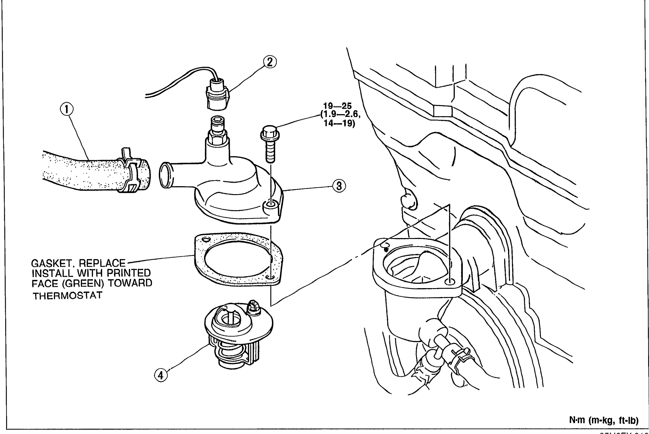 Exploded view of the thermostat housing on the engine. Numbered callouts (1)–(4): (1) Radiator hose upper, (2) Water thermoswitch connector, (3) Thermostat cover, (4) Thermostat. Note inside diagram: GASKET. REPLACE. INSTALL WITH PRINTED FACE (GREEN) TOWARD THERMOSTAT. Torque value 19—25 N·m (1.9—2.6 m-kg, 14—19 ft-lb) on the cover bolts. Unit caption: N·m (m-kg, ft-lb).