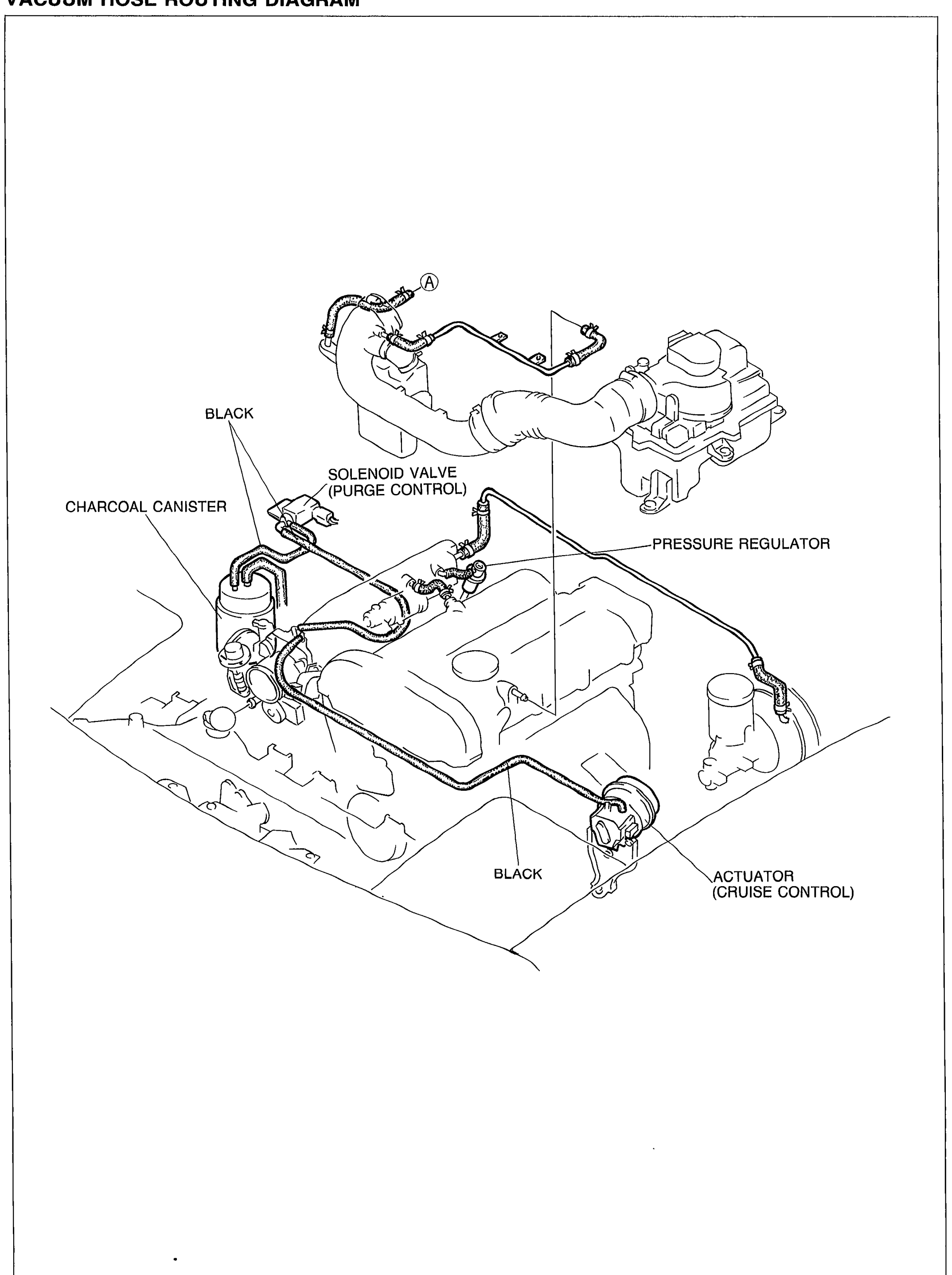 Vacuum hose routing diagram over an isometric engine view. Labelled callouts: charcoal canister (left), solenoid valve (purge control) with BLACK hose marker, pressure regulator (right rear), actuator (cruise control) with BLACK hose marker (bottom right), and a lettered callout (A) on the upper hose run.
